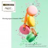 Montegrappa armonia mini pen collection