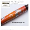 Indian Summer - Pelikan Beauty of Nature pen collection