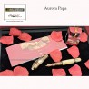 AURORA Optima Papa penna