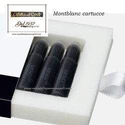 Cartucce montblanc permanent