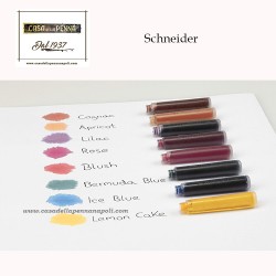 Schneider cartucce stilografiche