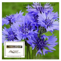 "The Power of Flowers" - Leonardo Momento Zero Grande 2.0 pen collection