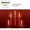 Montegrappa The Flash