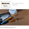 Montegrappa Venetia Tarvisium penna stilografica