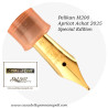 Pelikan M200 Apricot Achat 2025 Special Edition