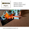 Pelikan M200 Apricot Achat 2025 Special Edition