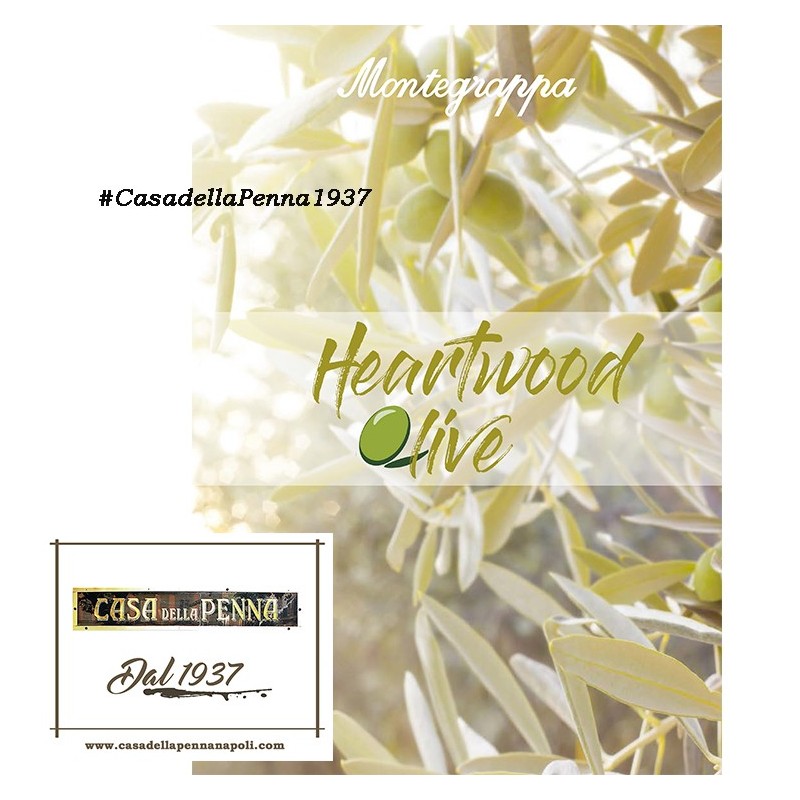 MONTEGRAPPA Fortuna Heartwood Ulivo - penna sfera/roller/stilografica + taccuino - Novità 