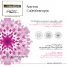 Aurora Caleidoscopio Luce Rosa penna stilografica e penna sfera