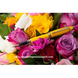 Aurora Ipsilon Demo Colors - penna stilografica