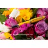 Aurora Ipsilon Demo Colors - penna stilografica