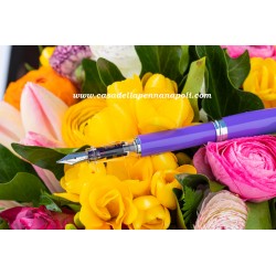 Aurora Ipsilon Demo Colors - penna stilografica