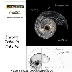 Aurora Trilobiti pen collection - Cobalto