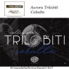 Aurora Trilobiti pen collection - Cobalto
