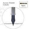 Aurora Trilobiti pen collection - Cobalto