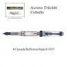 Aurora Trilobiti pen collection - Cobalto