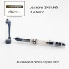 Aurora Trilobiti pen collection - Cobalto