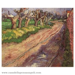 Pollard Willow Van Gogh - penna VISCONTI 