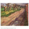 Pollard Willow Van Gogh - penna VISCONTI 