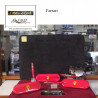 Ferrari slim pen