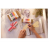 Caran d’Ache 849 Colour Treasure