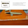 Sheaffer Monte Everest 100 anni