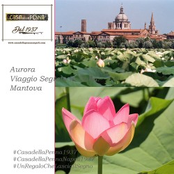 Aurora Mantova - viaggio segreto in italia