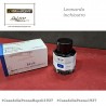 Leonardo Officina Italiana – calamaio inchiostro