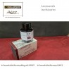 Leonardo Officina Italiana – calamaio inchiostro