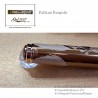 Pelikan Renjishi – penna stilografica – limited edition