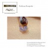 Pelikan Renjishi – penna stilografica – limited edition
